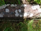 image of grave number 946826